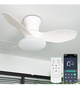 Amazon.co.jp : ONRIU シーリングファンライト led 導光板 ファン付き